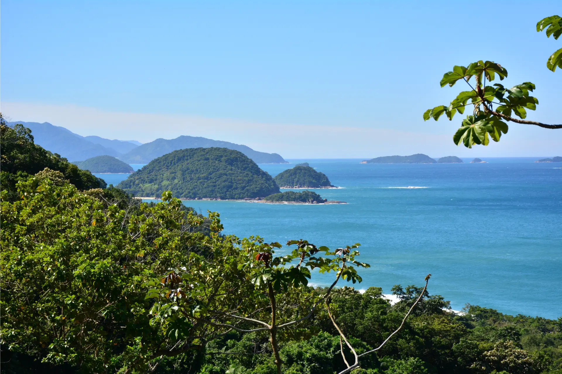 Vue sur la baie de Praia do Félix depuis la forêt